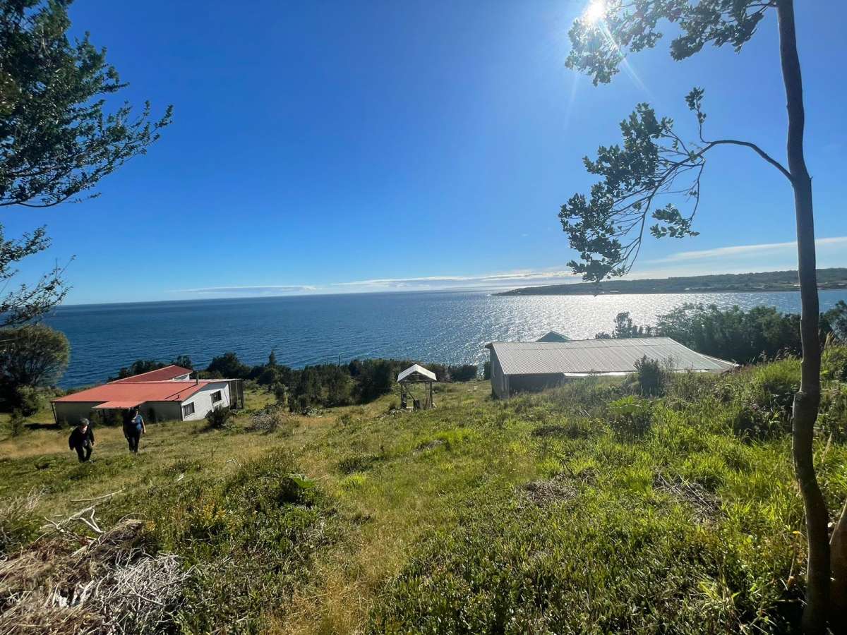 Carretera Austral Parcela Venta